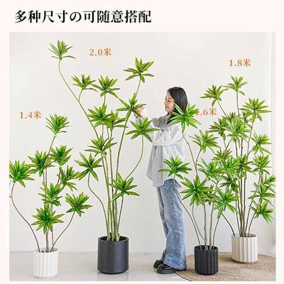 北欧ins风摆落地仿绿植真植物仿盆PIU栽百生合竹室内客厅假树装饰