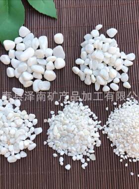 园艺用白色小石头白玉石JDP别铺墅园林专用路白石子白色鹅卵石