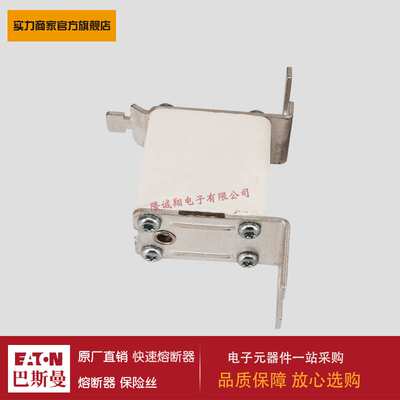 熔断器170M4828 170M4829 170M4830 170M4831 170M4832 170M4833