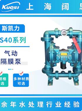 斯凯力气动隔膜泵LS40 AA-AA-N-PP-NP-00排污管道泵废水隔膜泵