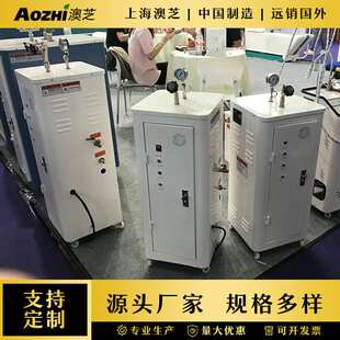 工业型家用蒸气机热水锅炉全自动电加热锅炉干洗店熨烫蒸汽发生器