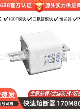 170M8635170M8636快速熔断器保险丝电子元器件量大价优