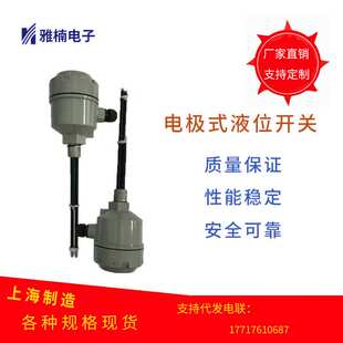 厂家 电极式液位开关电极水位开关电极式液位计电极水位控制器
