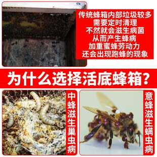 蜂大哥活底蜂箱中蜂全套十框七框标准杉木板煮蜡蜂桶养蜜蜂箱