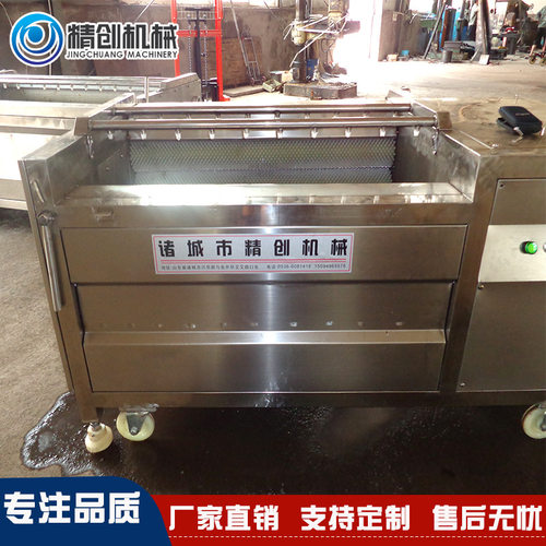 厂家直销 水果清洗机 柠檬番石榴毛辊清洗机    百香果清洗机