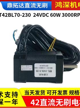DT42BL70-23042直流无刷电机60W3000RPM适配DBLS-05驱动器