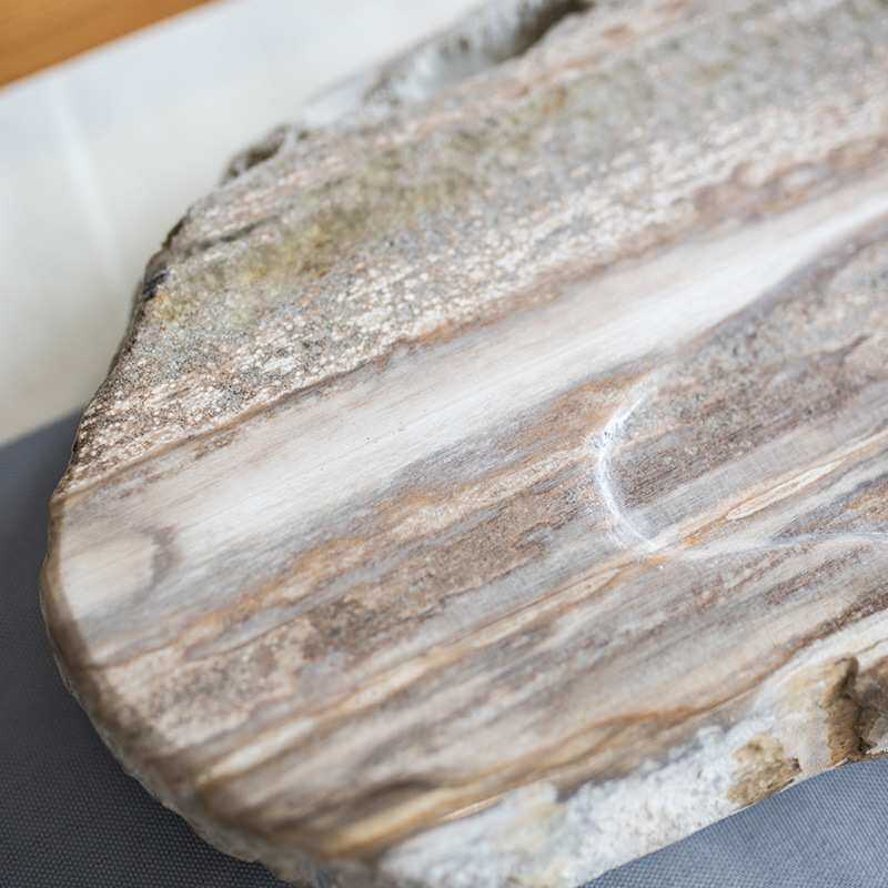 天然木化石茶盘 整块大号木化玉茶台 简约家用非乌金石茶托盘