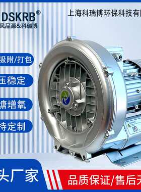 铝合金漩涡泵现货供应2XHB 510H06 850w380v充气城堡配套高压风机