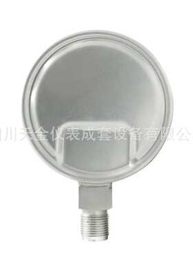 大成不锈钢压力表YTN-100F耐震压力表0~60MPA水压气压表径向油压