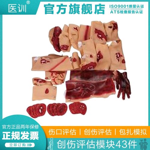 医训G110-43部件创伤评估模块全套伤情化妆套装爆炸伤战创伤高级