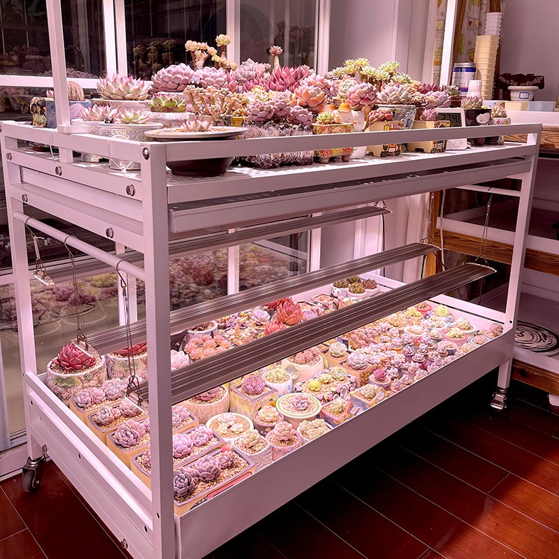 304不锈钢浇水浸盆花架花架子阳台多肉多层室内落地沥接水补光灯