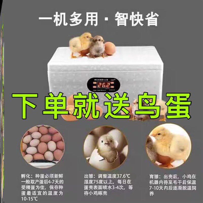 水床孵化器家用小型儿童水箱泡沫箱小鸡小鸭子受精蛋鸡蛋孵化箱