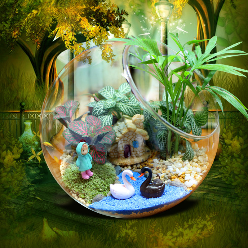 苔藓微景观生态瓶小盆栽创意迷你植物办公室桌面盆景龙猫摆件diy