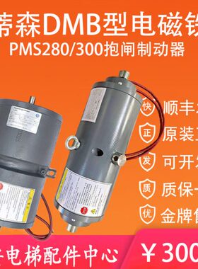 DMB型蒂森电梯抱闸制动器PMS280 PM300 500-1500A主机电磁铁16E1