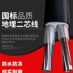 国标铝线电线户外电缆线2芯两6/10/16平方二芯铝芯地埋室外护套线