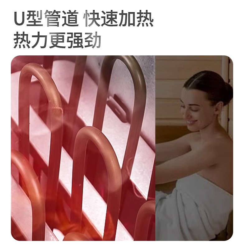 桑拿炉家用不锈钢干蒸炉壁挂浴池小型汗蒸炉设备桑拿房加热取暖器