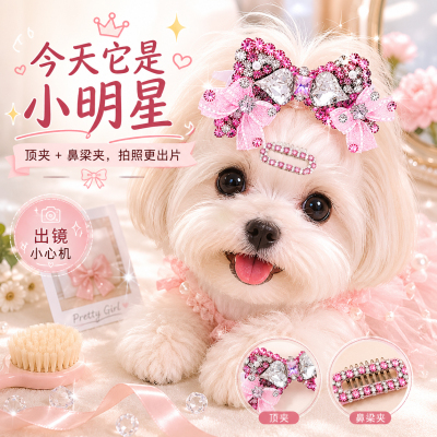 狗狗迷你满钻蝴蝶结BB夹套装