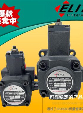 VP-20-FA2台湾ELITE艾利特VP-12/15/30/40-FA3 FA1 DH XH叶片油泵