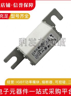 170M1308/1309/1310/1311/1312/1313/1314/1315/1316/17/18熔断器