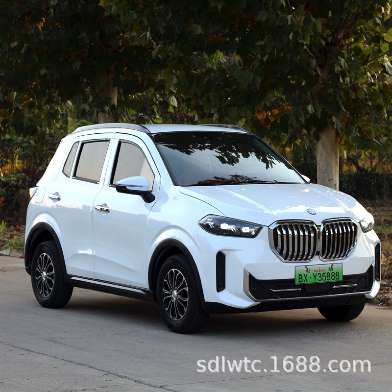 新款X6电动四轮车家用女士接送通勤新能源老年代步车锂电油电两用