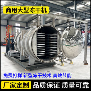 林蛙油低温真空冷冻干燥机 松茸片冻干设备 生姜洋姜片真空冻干机