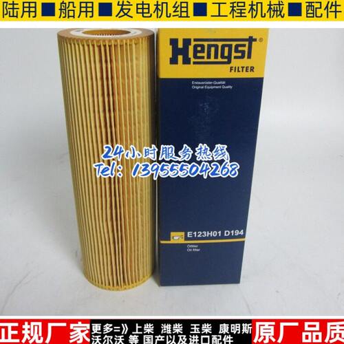原装Hengst机油滤芯E123H01D194替斯堪尼亚卡车机油滤清器2037556