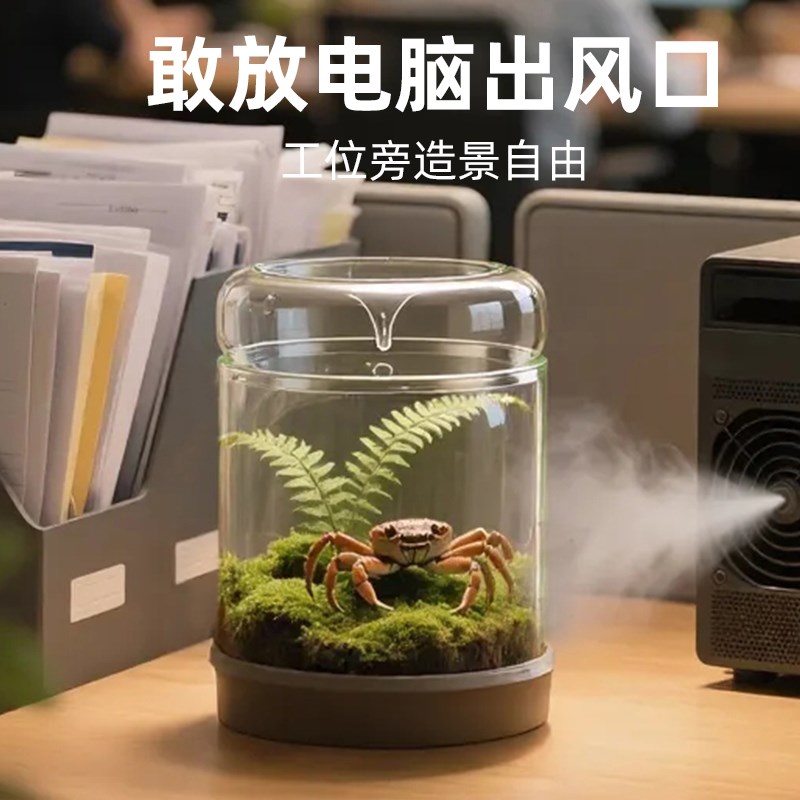 微景观瓶a露集杯办公室桌面创意哦生态瓶迷你斗鱼缸透明采光苔藓