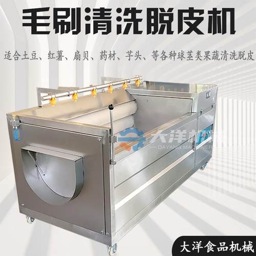 毛刷式土豆脱皮机连续式红薯清洗去皮设备芥菜脱皮机器莲藕去皮机