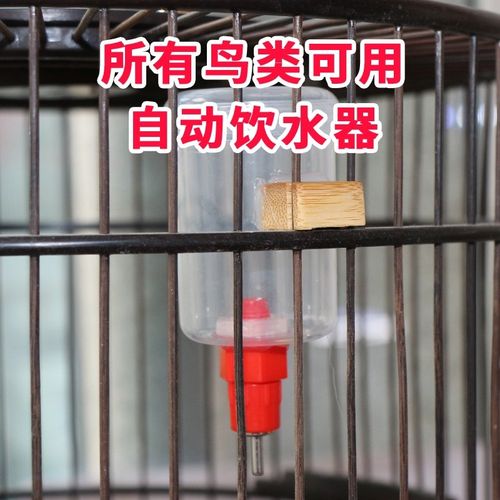 鸟用撞针自动饮水器鸟喝水壶喝水杯鸟儿用水罐小鸟喂水器鸟笼配件