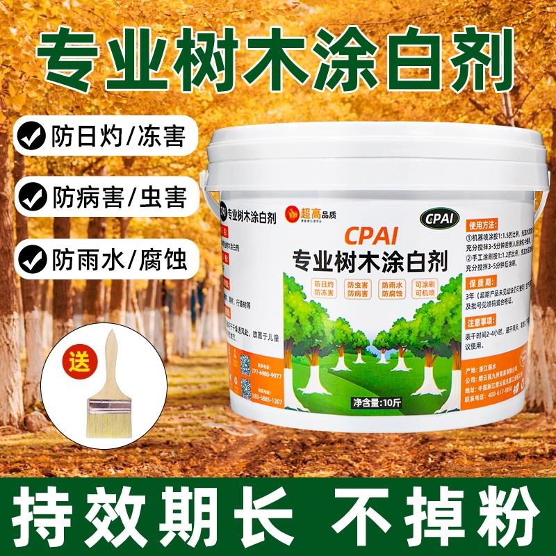树木果树树干涂白剂防虫防冻大树石灰粉刷树白灰涂树越冬过冬保护