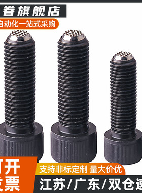 PKZ01/PKZ03无弹簧定位珠内六角螺栓型VCN419.1 全圆形球头螺钉