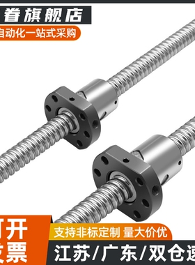 滚珠丝杆组件BSS BSSE BSSC BSSCK1505 1510 1520 2005 2010 2020