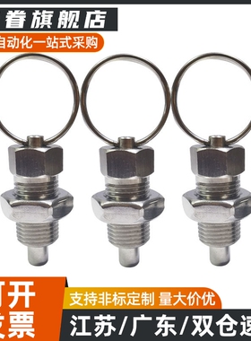 标准 分度销 拉环型 ZAC40/ZAC41/ZAC42-M6 M8 M10 M12