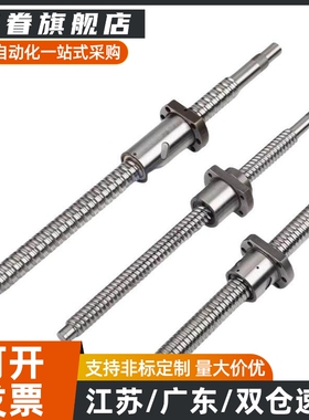 滚珠丝杆套装BSWE BTWE0802 1002 1204 1210 1510 1516 1520 1605