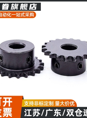 链轮SP40B10/11/12/13/14/15/16/17/18/19/20/21/22-N12/15/16/20