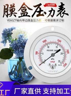 YE60ZT轴向带边面板式微压表过压保护型燃气管道测压膜盒压力表