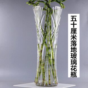 特大号花瓶玻璃透明大口径高50cm插花大号客厅摆件水培富贵竹落地