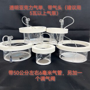 鱼缸圆形漂浮气举隔离盒换底亚克力孵化器小鱼苗饲养繁殖黑色白色