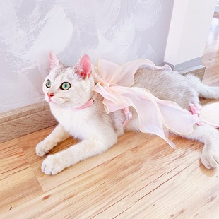 宠物牵引绳猫咪蝴蝶结飘带工字胸背狗狗小型犬外出仙女网纱遛狗绳