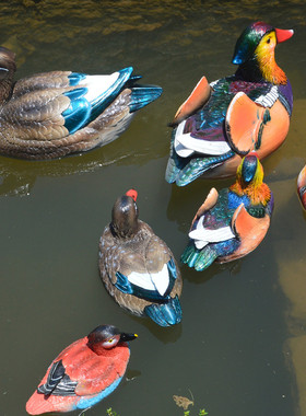 庭院假山青蛙鱼缸鱼池塘装饰浮水鸳鸯小黄鸭天鹅乌龟摆件户外花园