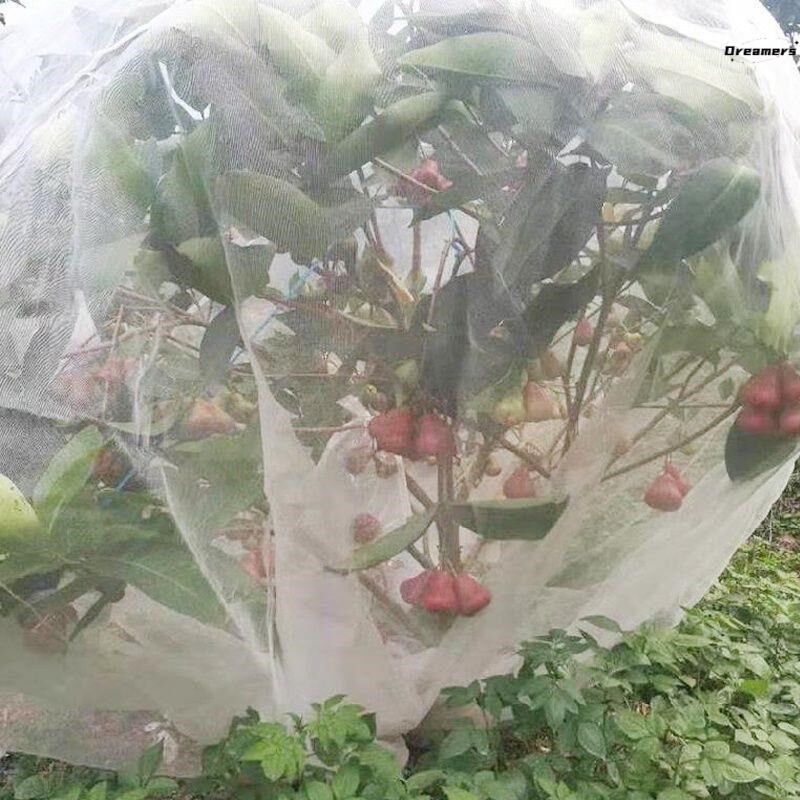 果树防鸟网罩嘉宝果葡萄龙眼防果蝇针蜂菜园蔬菜保护网套防虫厂家