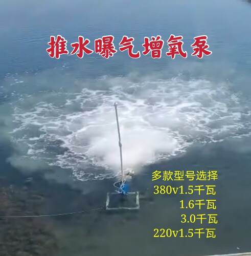 推水增氧泵新型潜水式推流爆机涌浪机水产养殖设备射流泵包邮叶轮