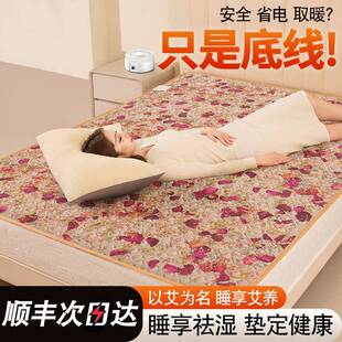 承欢慈艾绒水暖毯水暖电热毯双人电褥子床上加热除湿垫毯水暖炕垫