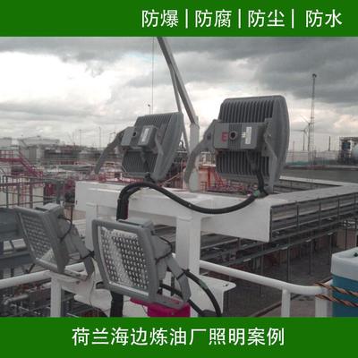 LED防爆投光灯泛光灯ULATEX认证海边炼油厂灯具防腐60W
