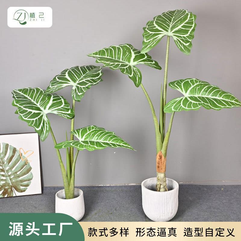 仿真绿植大叶帝王花烛家居客厅商场大型落地装饰植物盆景摆件树图片