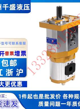 合肥长源双联油泵CBQT-F563/F432F425F420F416F410-AFH/CFPL