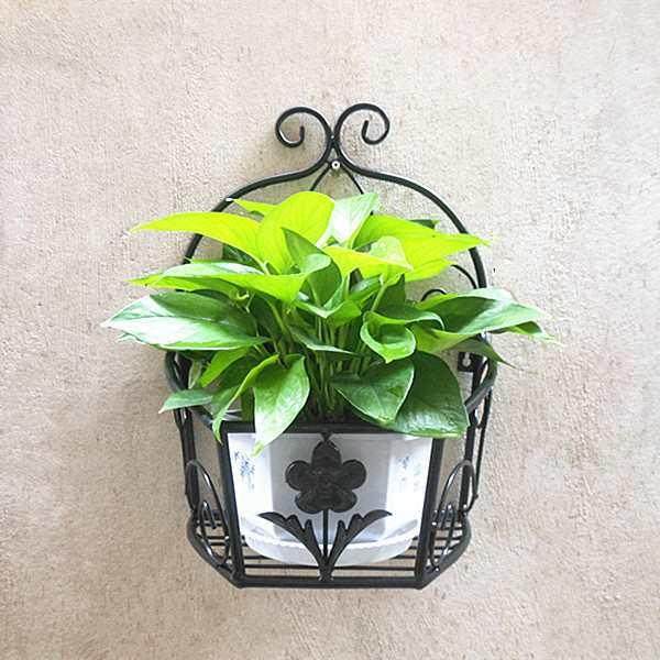 阳台壁挂式花架挂壁挂墙上墙壁墙面花盆架子绿萝花篮架置,纺织面料/辅料/配套,纺织机械配件,淘宝优惠券,粉丝福利购,淘宝优惠卷