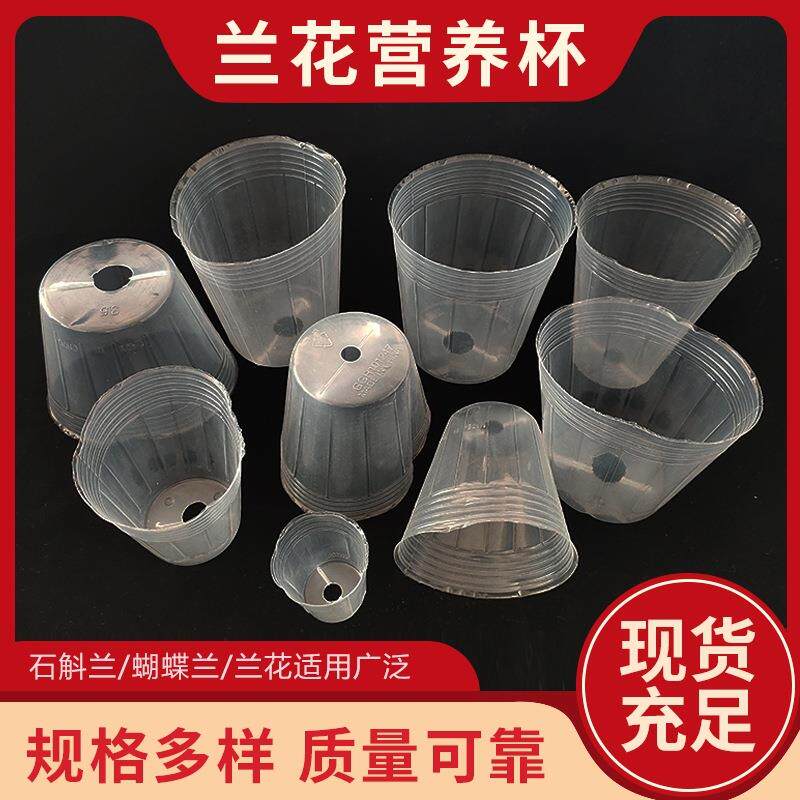 蝴蝶兰营养钵透明育苗盆育苗杯塑料营养杯营养钵营养袋育苗盘