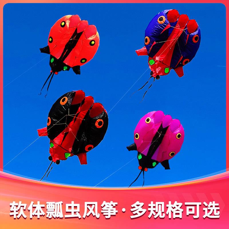 软体风筝七星瓢虫甲壳虫高端专业级大型高档马老四微风领航抗大风