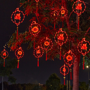 新年过年家用小彩灯龙年春节阳台装饰灯电池灯气氛灯笼太阳能挂灯